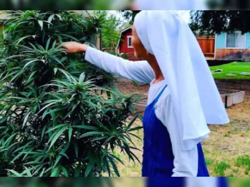 Hermanas del Valle, ‘monjas’ dedicadas al cultivo de cannabis