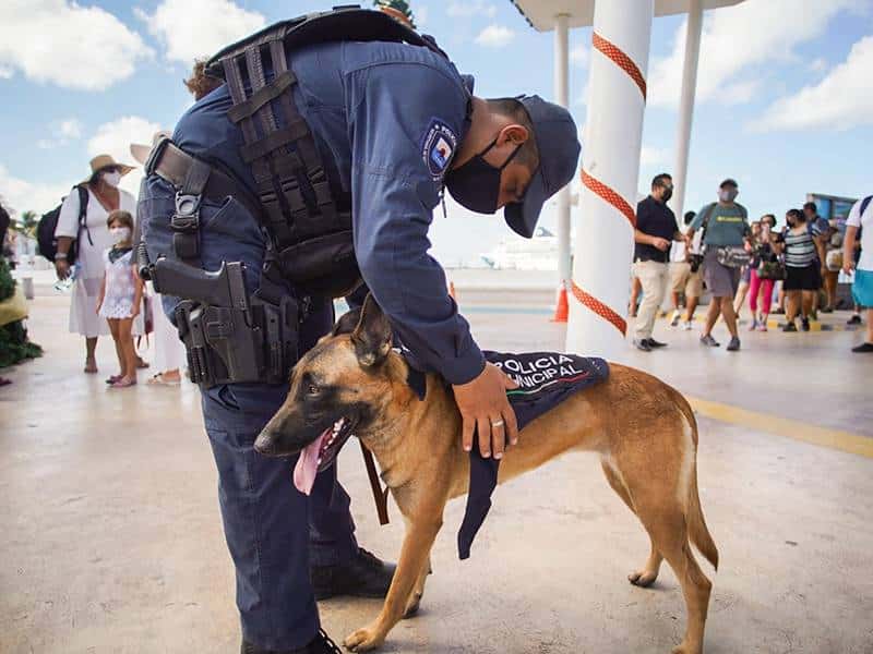 La Secretaría de Protección Ciudadana, con policías de investigación y de caminos