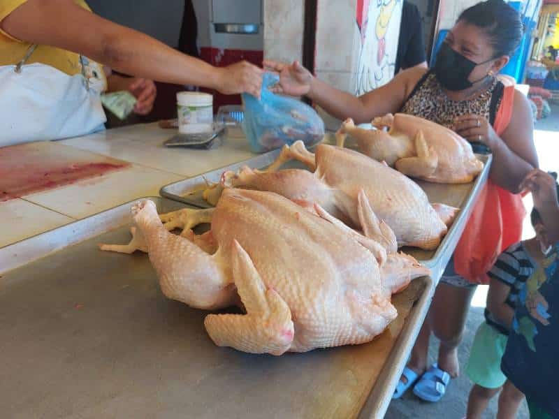 Prevén desabasto de carne de pollo en Chetumal por gripe aviar