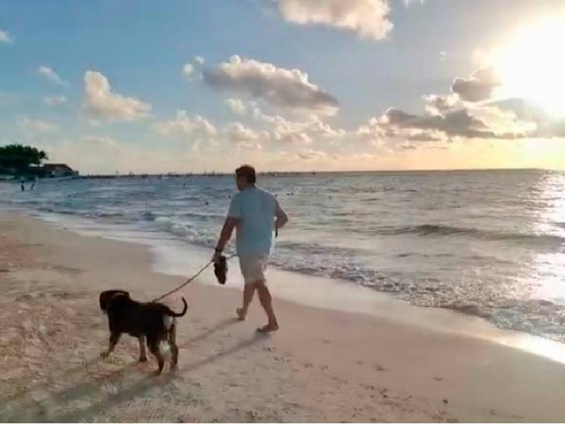 Sigue prohibido llevar perros a los arenales en Playa del Carmen
