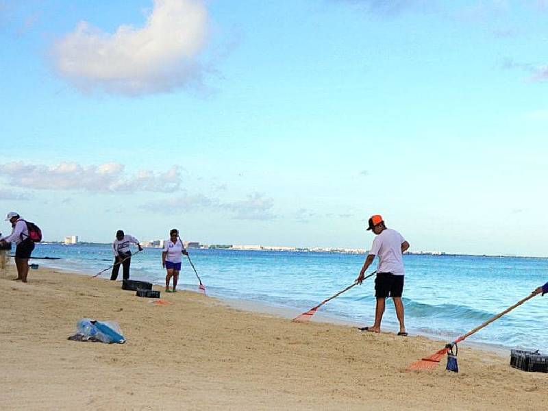 Clausuran en Isla Mujeres la temporada de sargazo 2022 en Quintana Roo