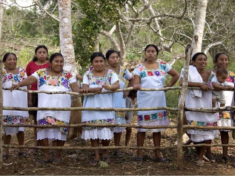 Elevarán a derecho enseñar lengua maya