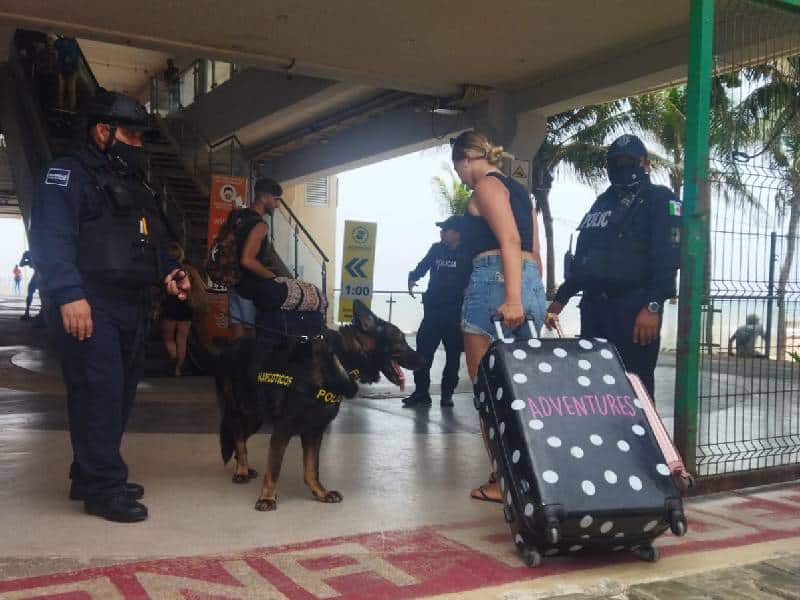 perritos policia en Solidaridad