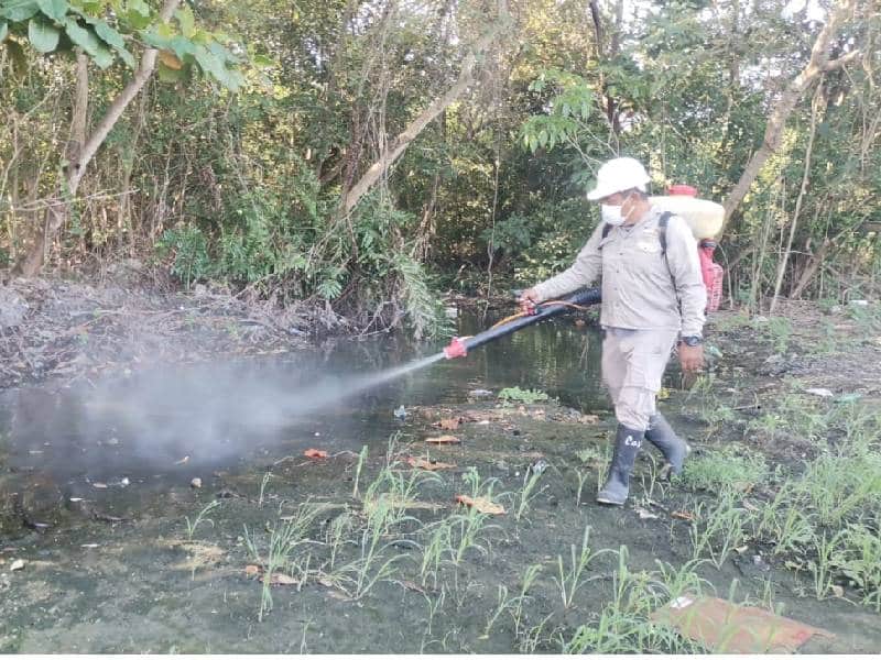 Fortalecen en Quintana Roo las acciones preventivas contra el dengue
