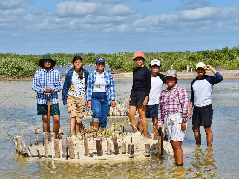 Estudiantes de la UACH se suman acciones de restauración, conservación y educación ambiental en Cozumel