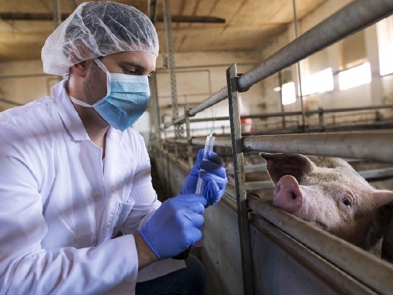 Piden mayor prevención y transparencia sobre zoonosis