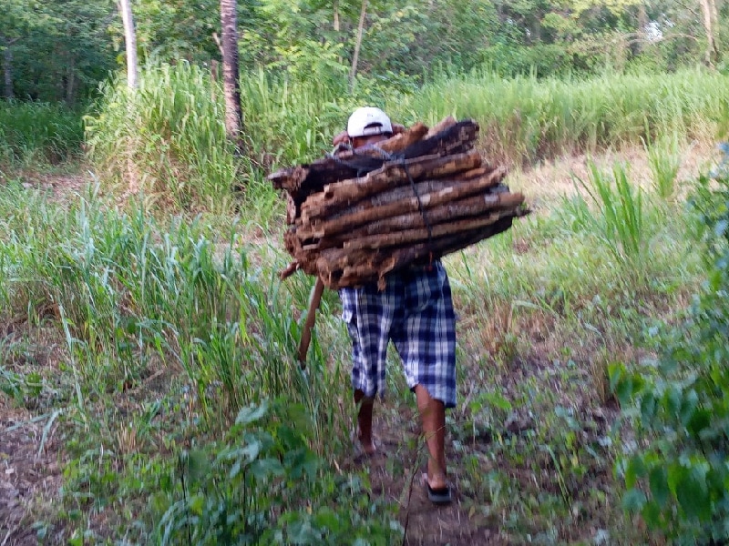 Campesinos de Lázaro Cárdenas confían en las “Cabañuelas” por encima de la tecnología