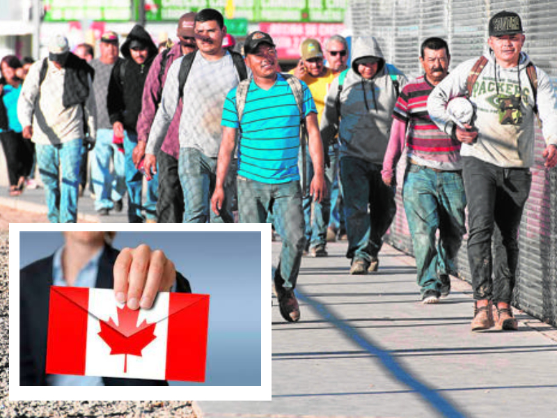 Canadá dará empleo a 26 mil mexicanos migrantes