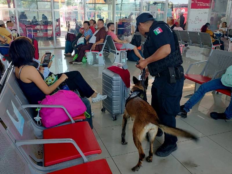 Con binomios caninos recorren terminal de autobuses de Chetumal