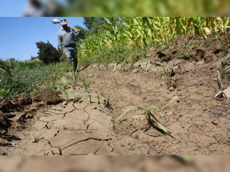 Reportan sequía anormal en el centro de Quintana Roo
