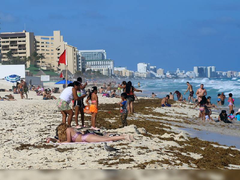 Crece nivel de alerta de sargazo en el Caribe Mexicano