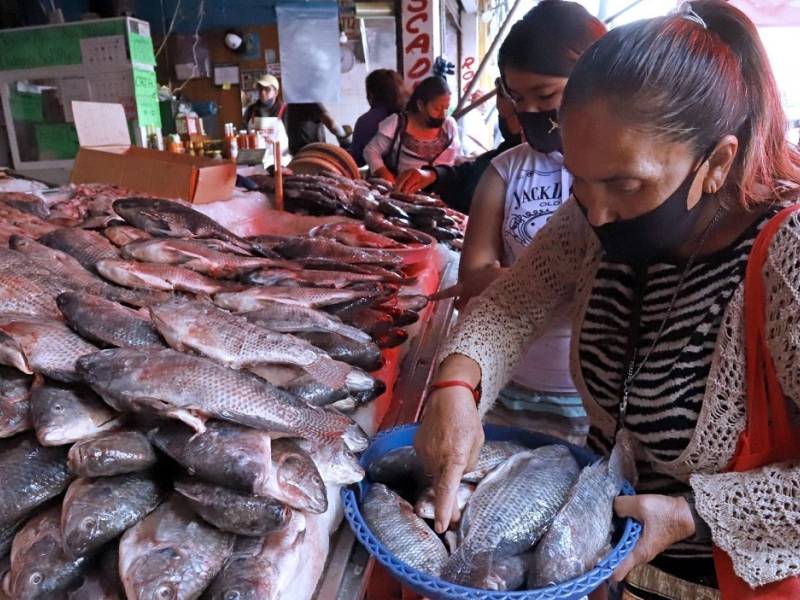 Pescados y mariscos dejarán derrama económica de más de mil 500 mdp: Sedeco