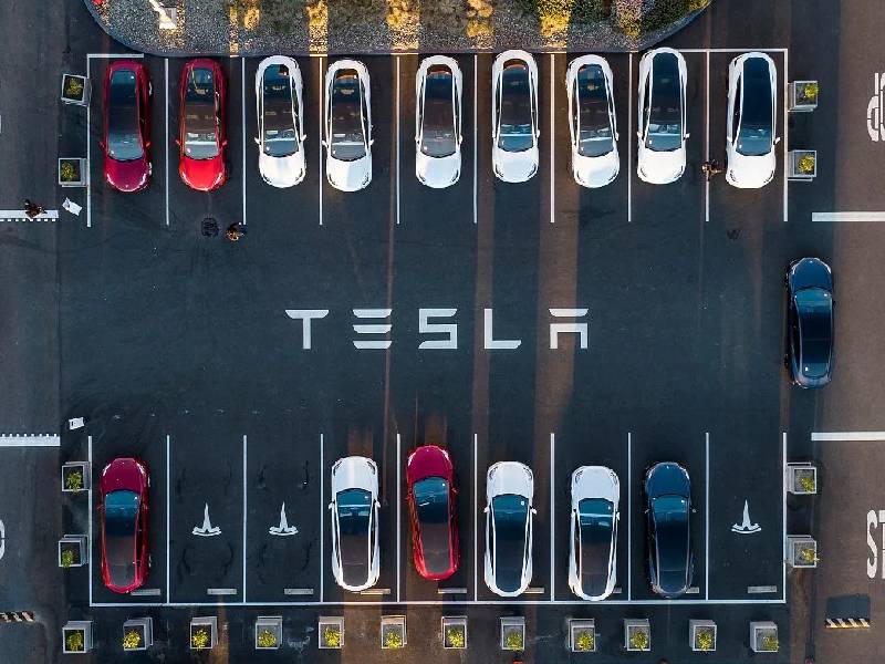 Tesla tendría su planta más grande del mundo en Santa Catarina