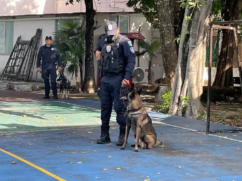 Refuerzan la seguridad binomios caninos en Cancún.