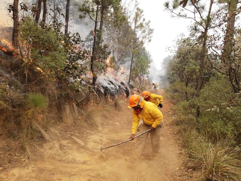 Salvan los frentes fríos de incendios forestales