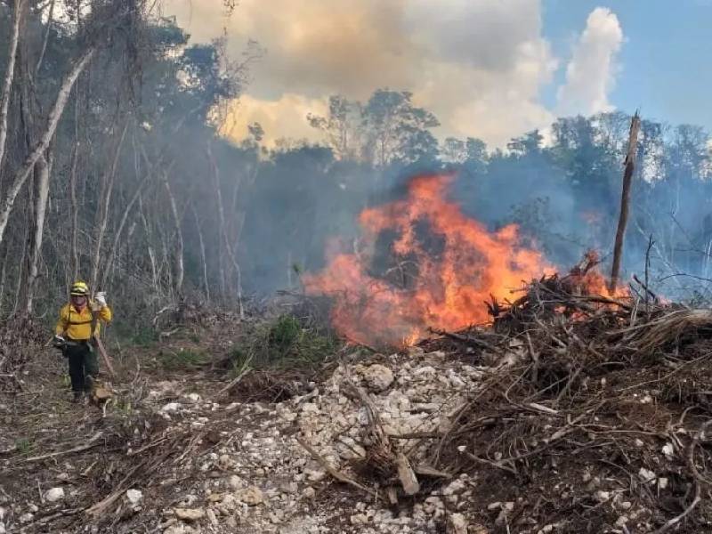 Primeros incendios de la temporada de estiaje dañan 16 hectáreas en Q.Roo