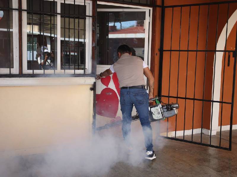 Cancún nos une en el combate al Dengue: Ana Paty Peralta 