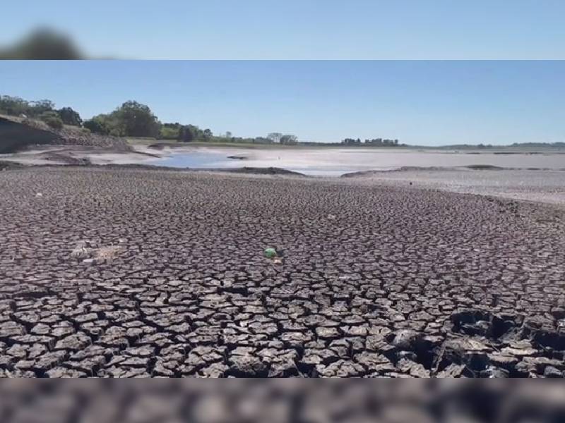 Crece preocupación en Uruguay por sequía que agota reservas de agua y destruye cultivos
