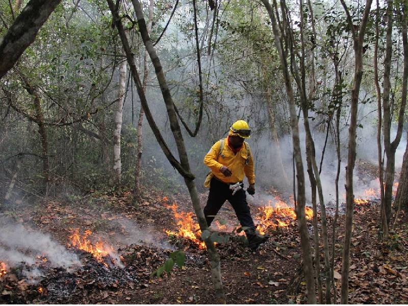 Se alista Puerto Morelos contra incendios forestales
