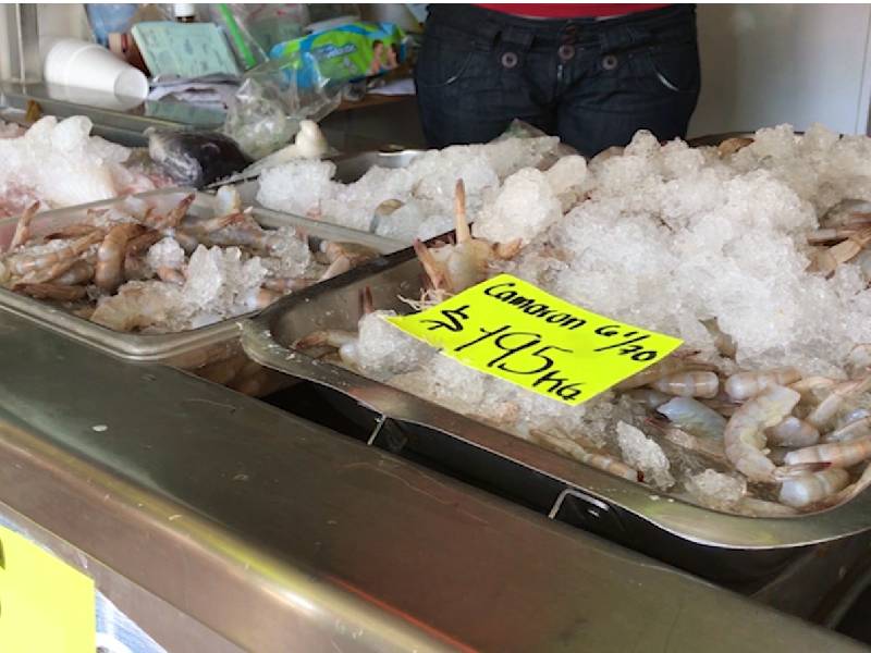 Bajas ventas reportan pescaderias en Cancún