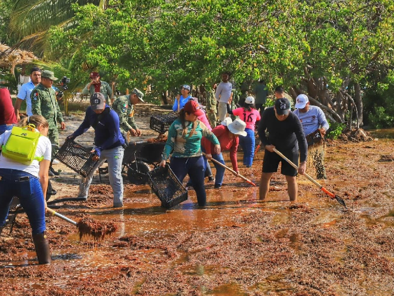 Entregan carretillas para limpiar el sargazo de las playas en Mahahual