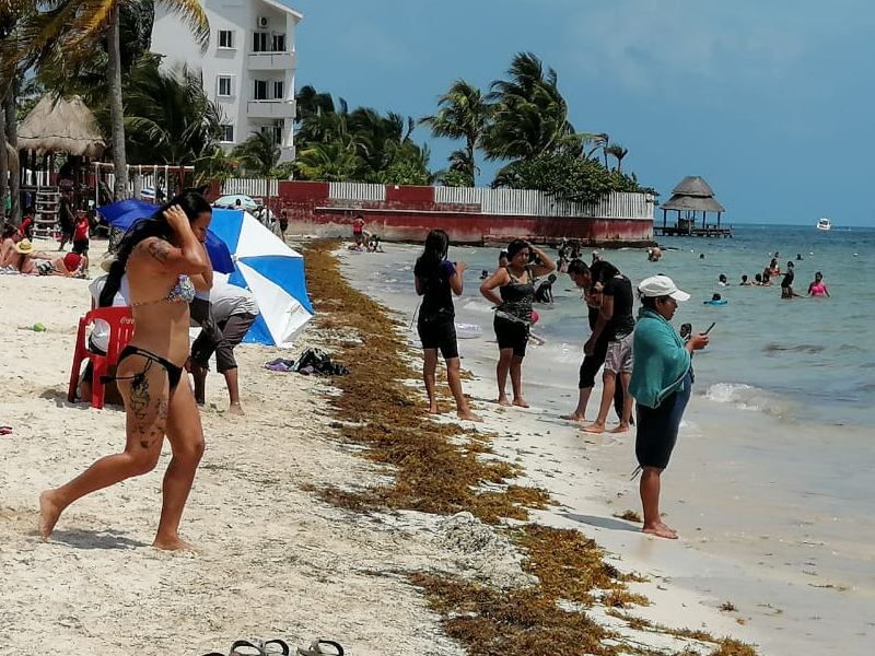 Reportan 48 playas de Q.Roo limpias con poco arribo de sargazo 