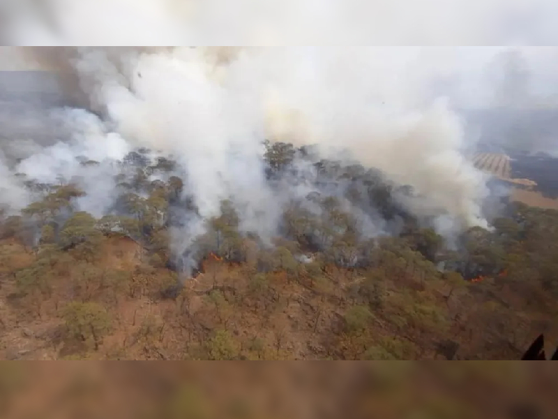 Incendios forestales ponen en alerta a la zona metropolitana de Guadalajara