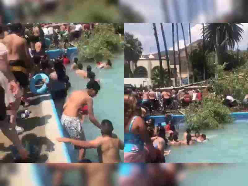 Video. Cae árbol sobre bañistas en balneario de Comanjilla; hay 11 heridos
