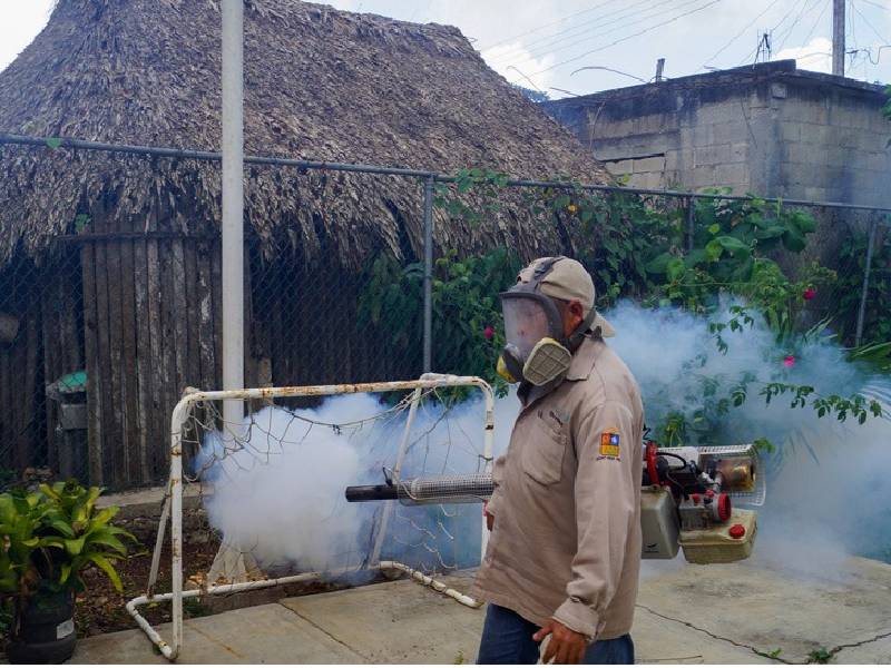 La Secretaría de Salud reporta que va a la baja los casos de dengue
