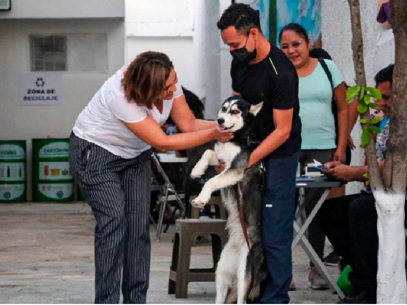 ¡El registro de mascotas en Cancún ya tiene fecha!