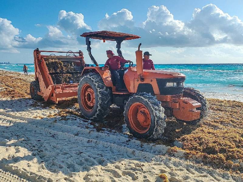 Playas de Cancún registran mínima cantidad de sargazo