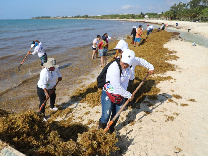 Jornada de limpieza en Punta Esmeralda