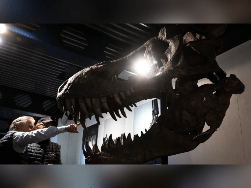 Subastan al T-Rex en Suiza por más de cinco millones de euros