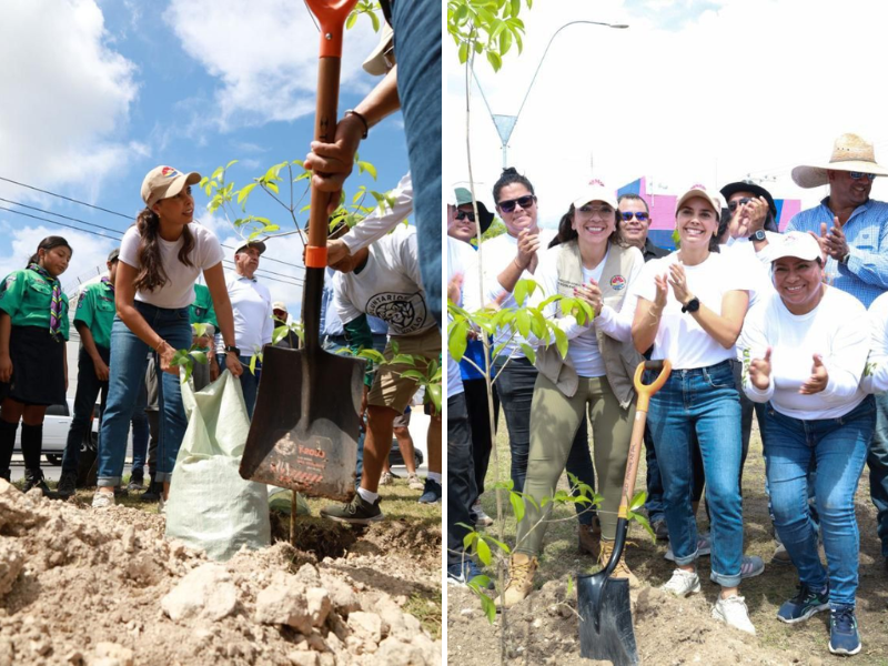 Ana Paty embellece avenida principal de Cancún con reforestación