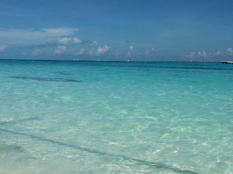 Playa Caracol Cancún_ Descubre la Joya del Caribe Mexicano