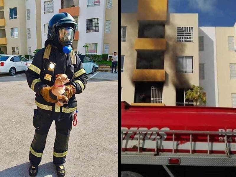 Rescatan a perrito de un incendio de una departamento en Playa Del Carmen