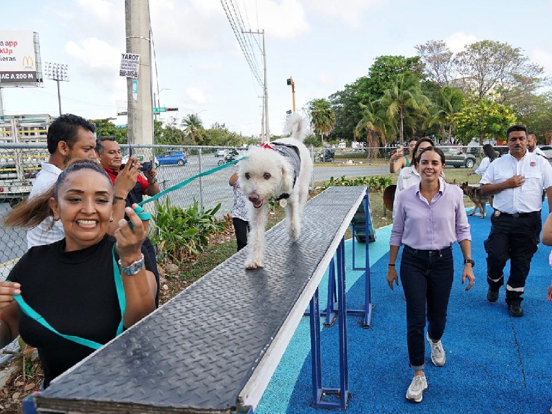 Inicia registro para el Padrón de Mascotas en Cancún