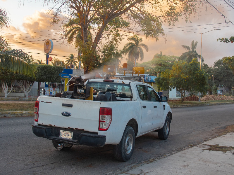 Autoridades mantienen combate frontal contra el dengue en Quintana Roo