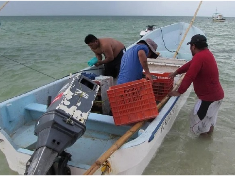Amenazan la sobrepesca y contaminación al Mar Caribe