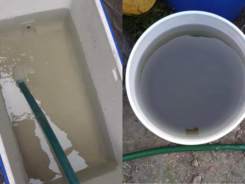Atiende Capa reporte de agua sucia en Mahahual