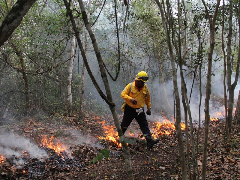 Se mantiene en alerta el gobierno del estado ante incendios forestales