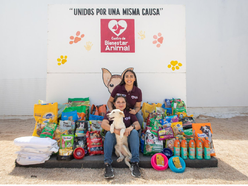 Centro de Bienestar Animal de Felipe Carrillo Puerto fomenta adopción de perros y gatos