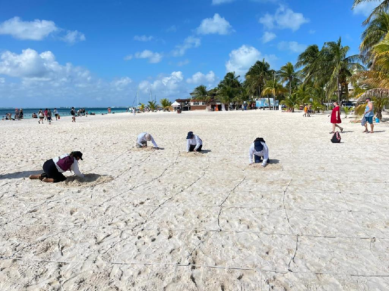 Playas de Isla Mujeres tuvieron auditorías
