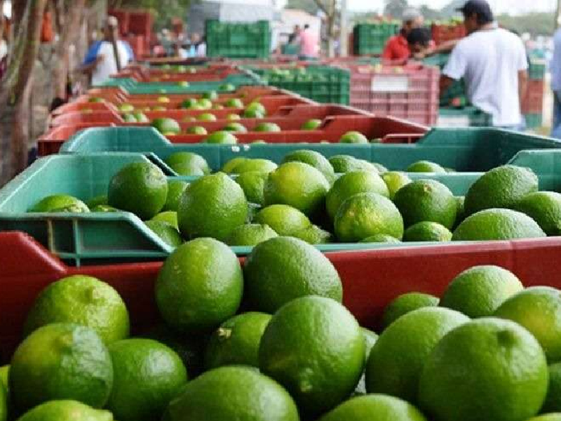 Quintana Roo exportará productos hasta por 800 MDD