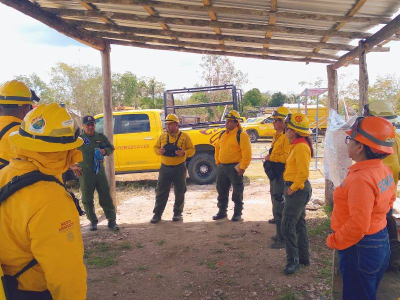 Quintana Roo mantiene bajo control los incendios forestales