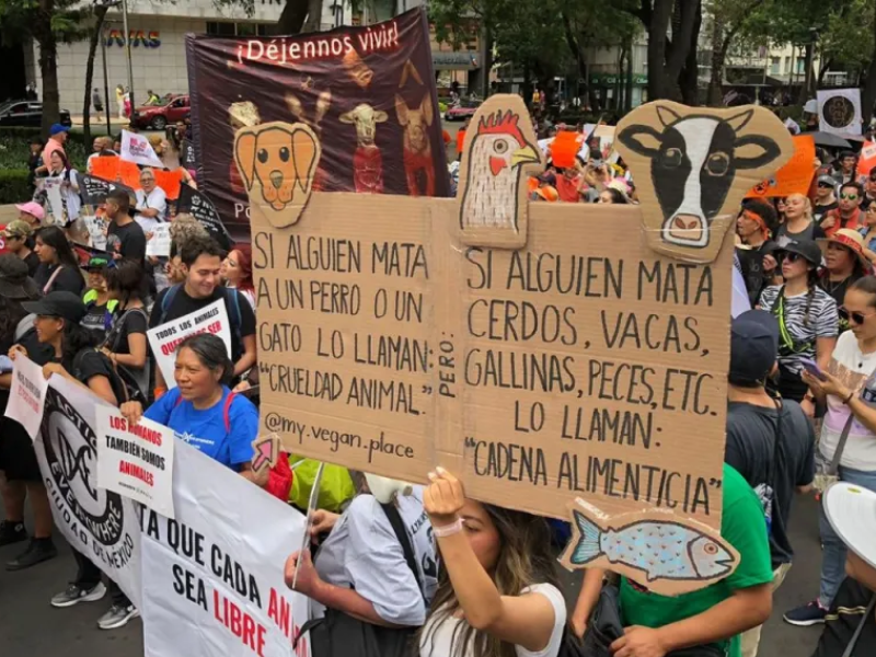 En vivo Sigue aquí la marcha contra el maltrato animal en México