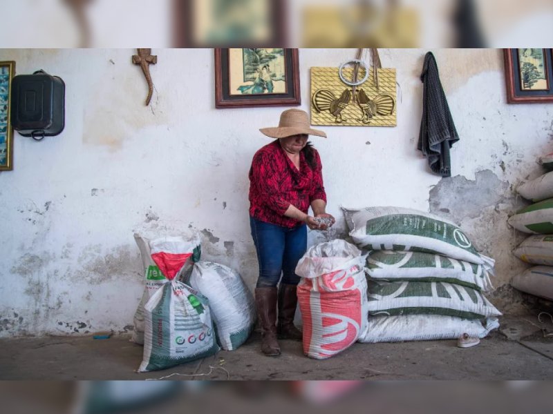 Sader entrega fertilizantes en Durango