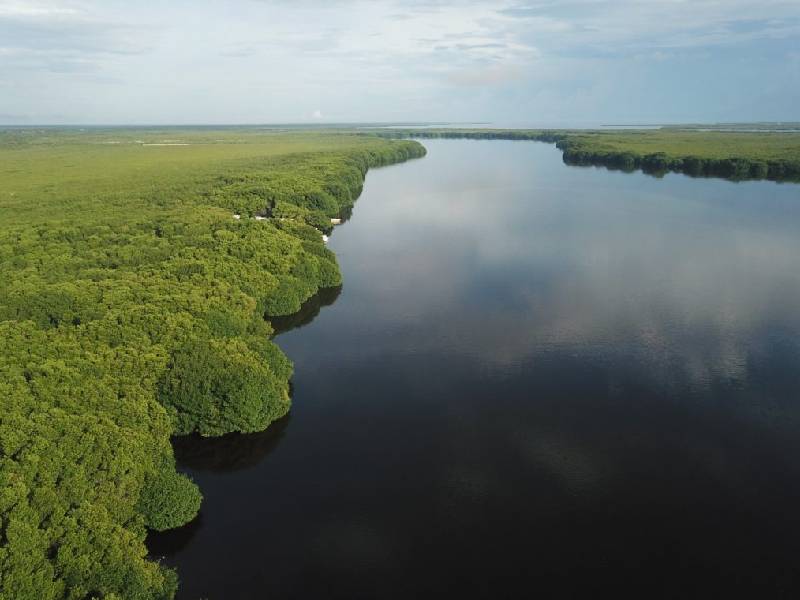 Inician acciones para conservación de las lagunas Chacmochuch y Manatí 