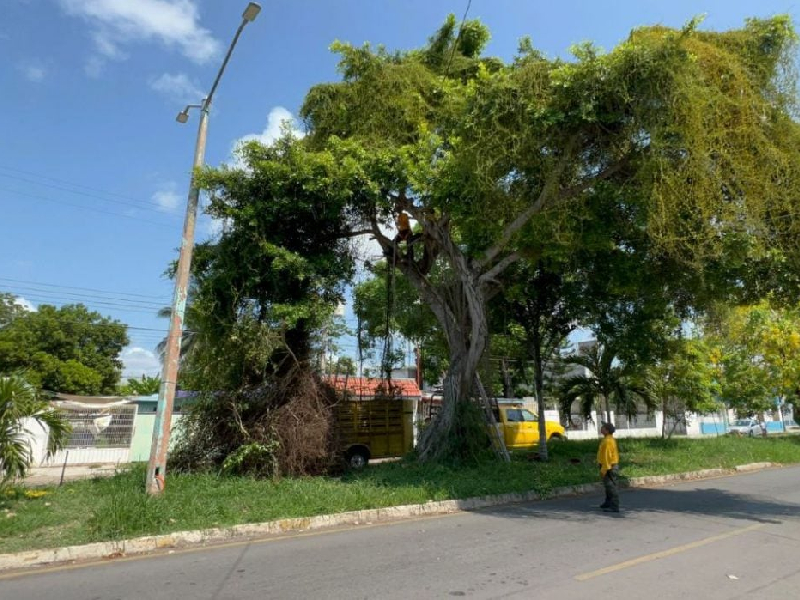 Realizan intenso operativo de limpieza de calles por lluvias