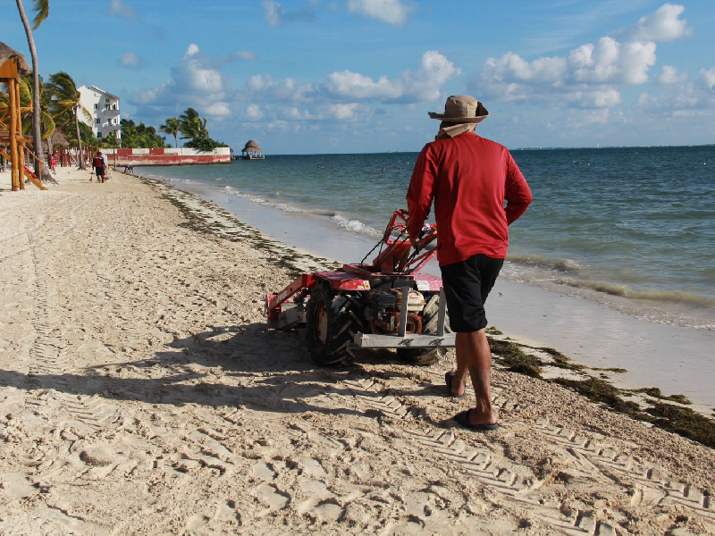 Garantizan playas limpias y certificadas en Cancún